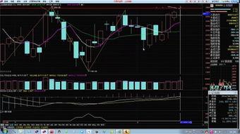 股票在线视频分析,洞悉市场脉搏，揭秘投资奥秘  第2张