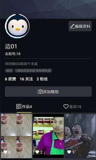 手机在线视频视频3,揭秘短视频时代的魅力与挑战