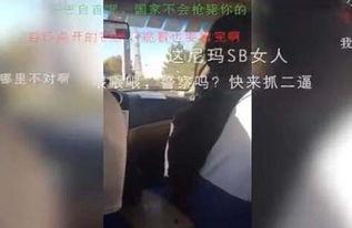 在线视频东北女人,东北女性的独特魅力与生活画卷