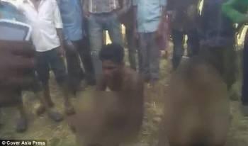 印度情侣在线视频,浪漫瞬间引网友热议