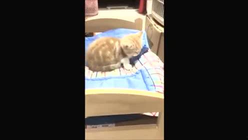 私人玩物自慰在线视频,隐私与伦理的边界