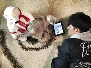 就爱撸在线视频,畅享视听盛宴的秘密花园