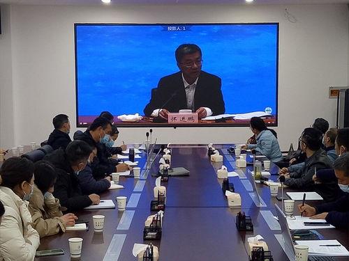 视频桌面在线视频,在线视频的全新体验之旅