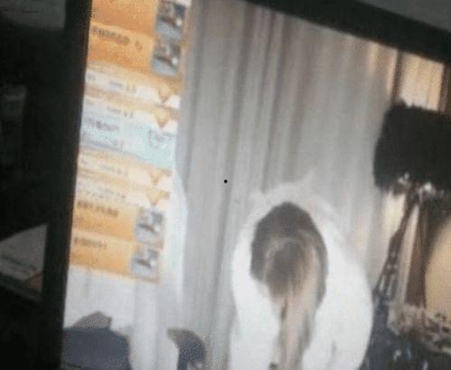 主播洗澡自卫在线视频,主播洗澡自卫，勇敢反击网络恶势力