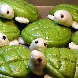 91老乌龟在线视频,揭秘热门影视幕后制作过程