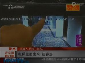 sex免费在线视频,免费在线视频带你探索性别奥秘