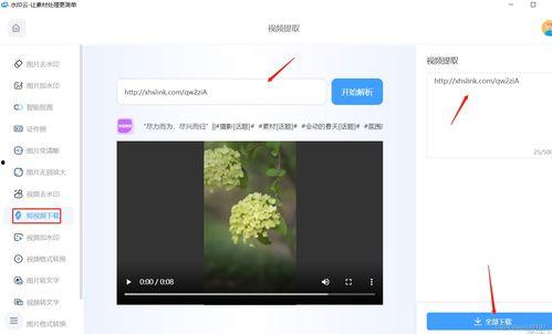 无水印在线视频网站