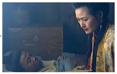 番金莲在线视频,激情四溢的在线视频盛宴