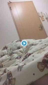 成人51在线视频社区,探索成人51在线视频社区的无限魅力