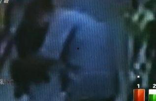 色老头在线视频,一场视觉与思维的盛宴