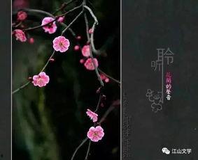 春暖花开有声在线视频,有声在线视频中的诗意时光