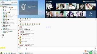 高徒在线视频提取,揭秘高效学习之道