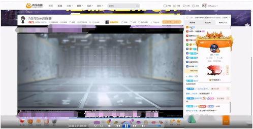 洛尘网在线视频,揭秘网络世界的精彩瞬间