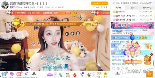 洛尘网在线视频,揭秘网络世界的精彩瞬间