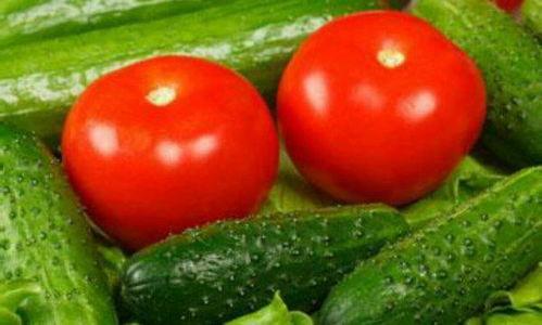 番茄黄瓜社区在线视频,探索在线视频的绿色田园生活