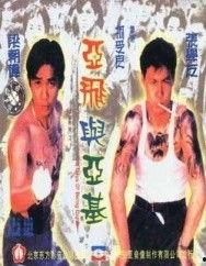 阿飞阿基在线视频,穿越时空的奇幻冒险之旅