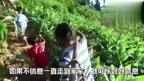 鬼作在线视频 西瓜,鬼作在线惊悚，带你领略恐怖魅力