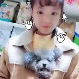 梦菲在线视频,探索虚拟世界的无限魅力